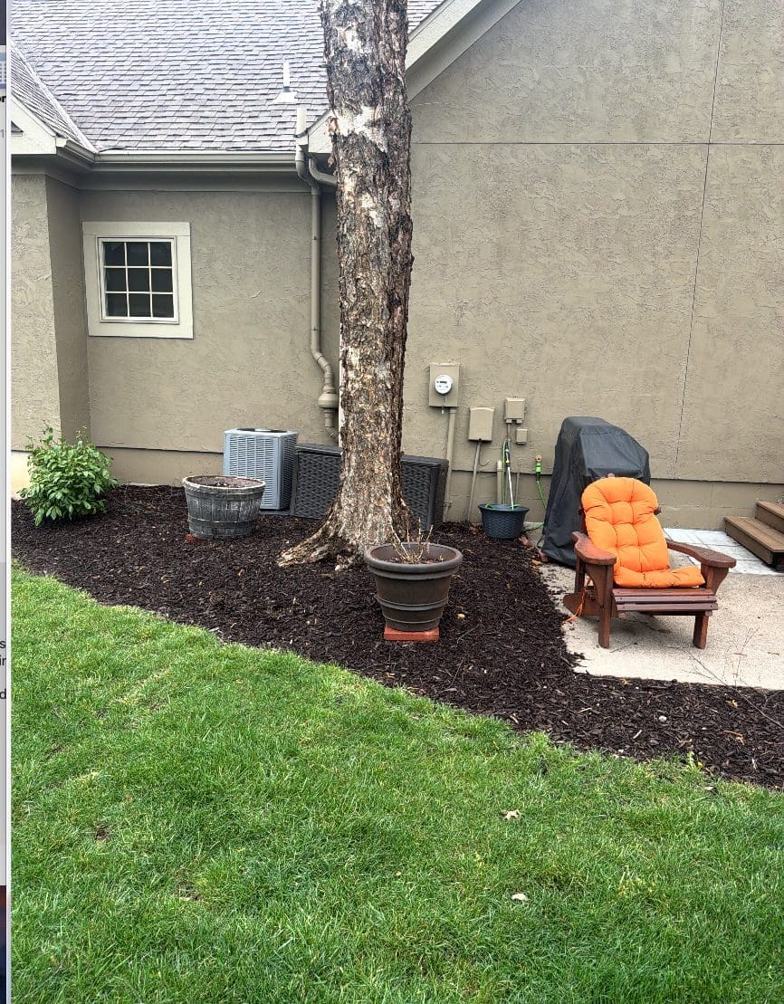 Backyard mulch bed and mature birch tree before a composite deck addition in Shawnee, Kansas